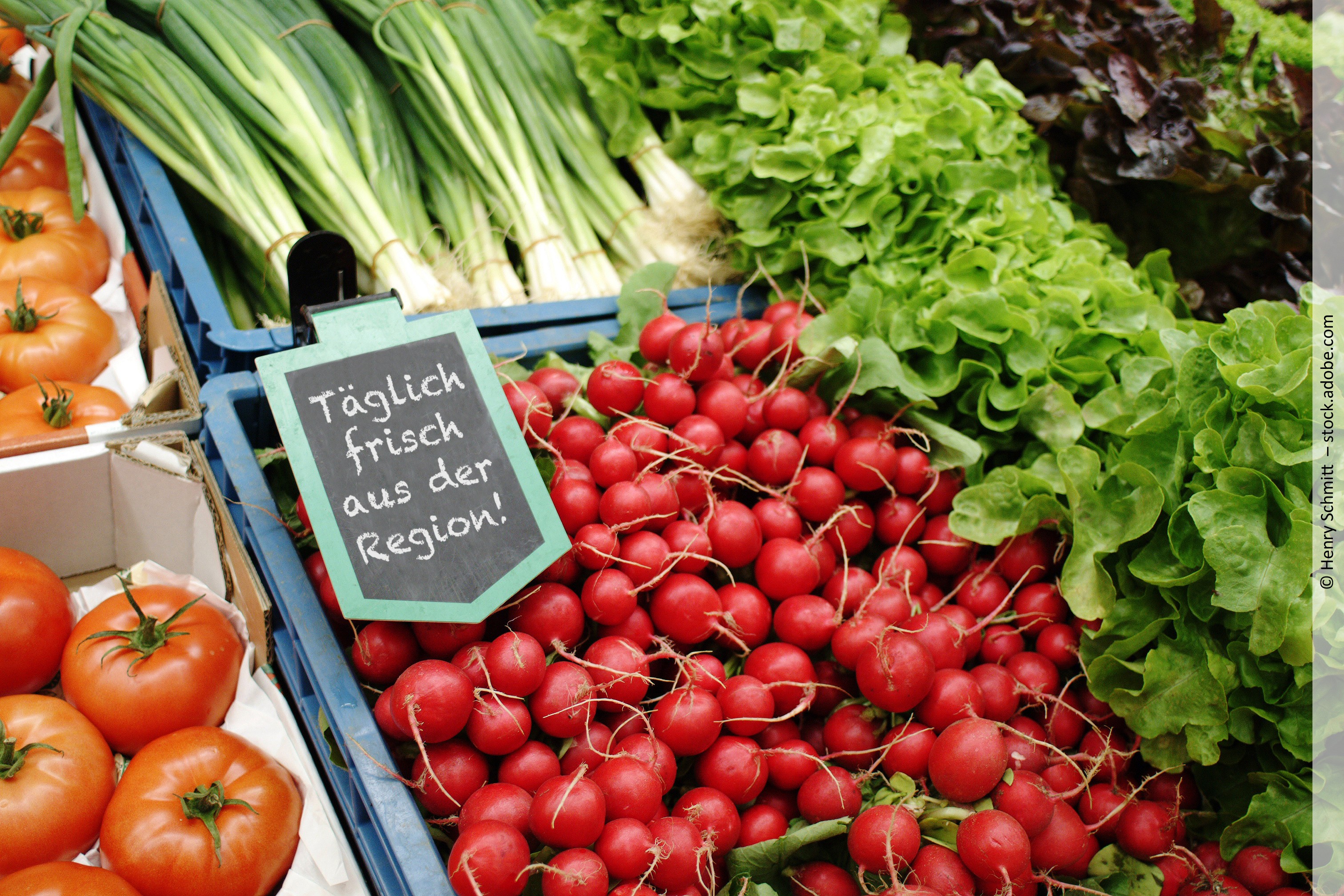 Lebensmittelqualität beurteilen