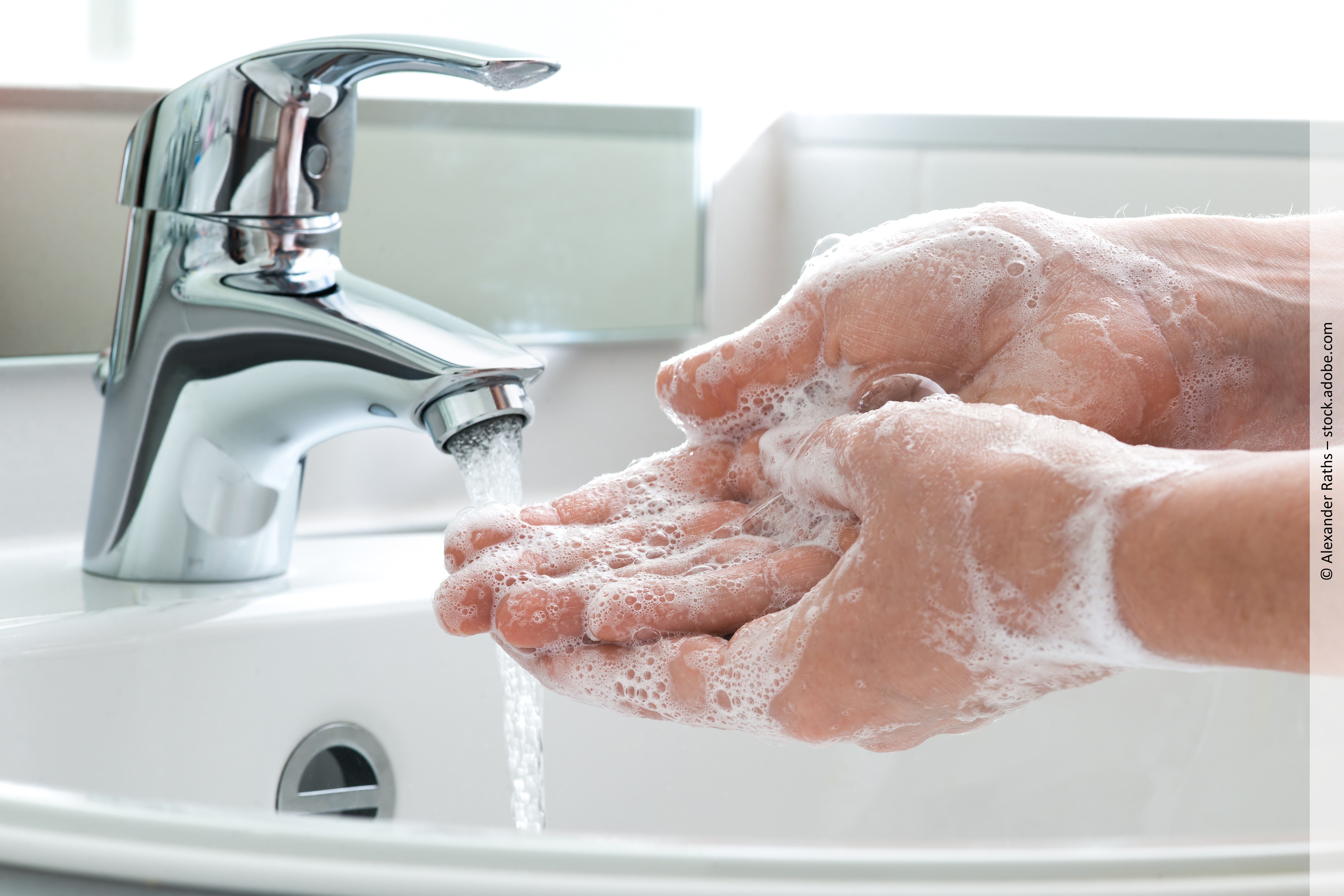 Lebensmittel im Unterricht hygienisch verarbeiten